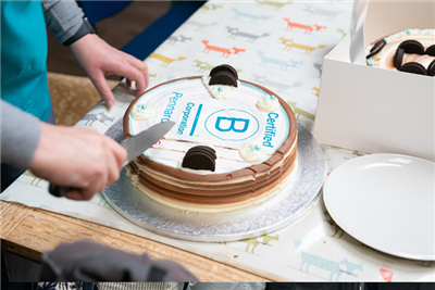 Kent practice becomes first B Corp veterinary practice in Europe