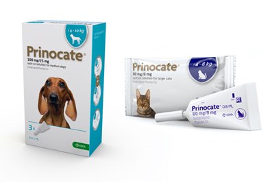 New POM spot-on ectoparasiticide for cats and dogs