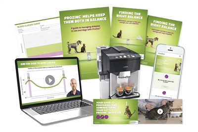 New webinar and toolkit for diabetes management