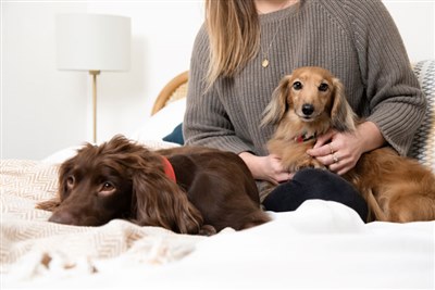 Dog ownership may have helped stave off depression during pandemic