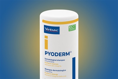 New anti-bacterial, anti-fungal shampoo for cats and dogs