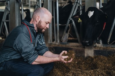 New study shows change in cleaning practices could improve calf health