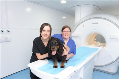 Somerset referral centre beefs up its neurology service