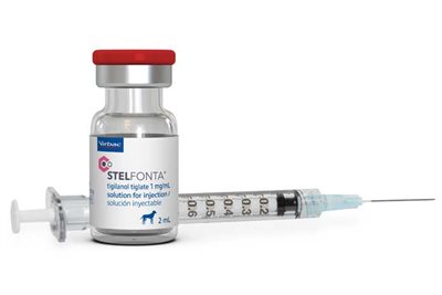 New treatment for canine mast cell tumours