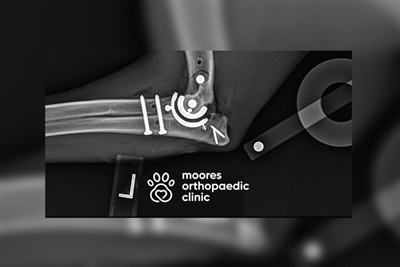 Moores Orthopaedic Clinic gets the go ahead for new canine elbow 