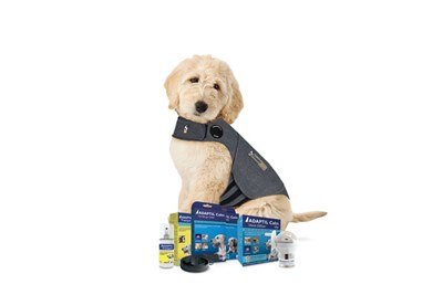 Ceva Animal Health buys ThunderWorks