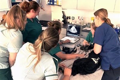 Clinical improvement project leads to dramatically increased ultrasound scan rates