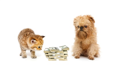 New research shows pet owners struggling to pay vet bills