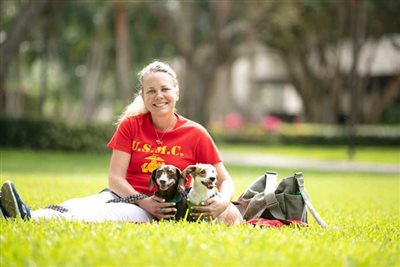 Walking dogs could help vets with Post Traumatic Stress Disorder