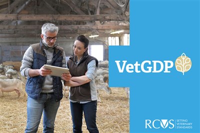 RCVS launches information campaign for new grad development programme