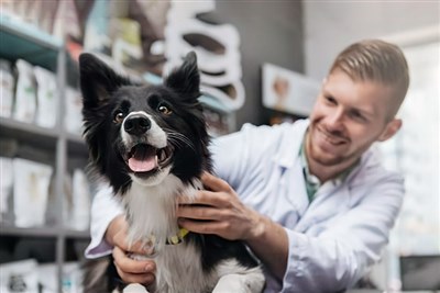 Zoetis adds digital cytology testing to Vetscan Imagyst