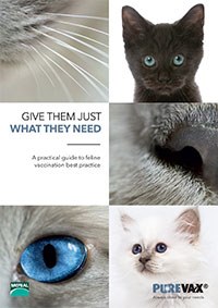 New feline vaccination guide from Merial
