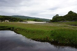 Vet needed to live in the wilderness for a year