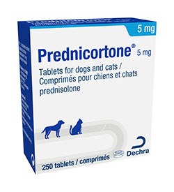 Dechra launches 5 mg SmartTab Prednisolone