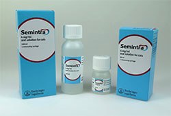 Boehringer launches bigger Semintra bottle