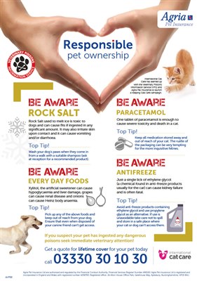 New campaign to highlight toxic threats to pets
