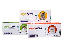 New flea and tick treatment for cats is spot on