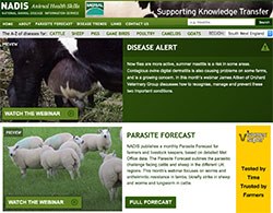 New large animal disease resource