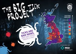 MSD launches Tick Awareness Month with call to reinstate tick control in Pet Travel Scheme