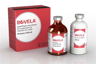 Bovela becomes market leading BVD vaccine