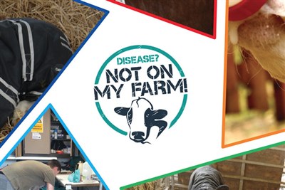New calf health checklist to help vets and farmers work together