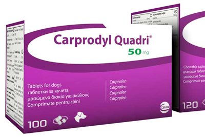 Ceva launches new carprofen