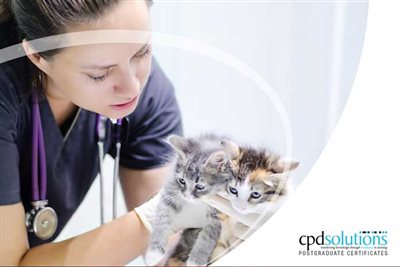 New way to gain PgCert (Surgery) in 12 months