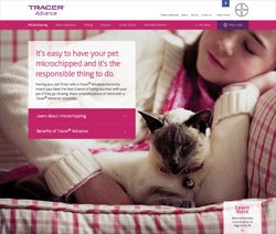 Bayer calls on vets to recommend cats get chipped too