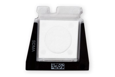 Idexx Launches In House Kidney Test For Cats And Dogs Vetsurgeon