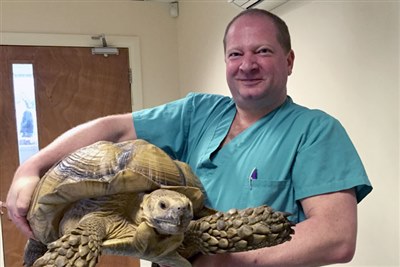 Exotic vet app updated