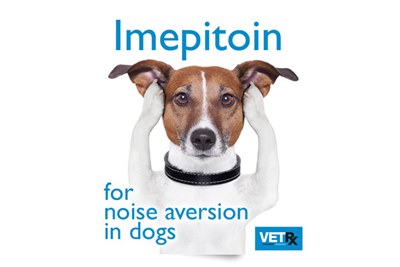 Imepitoin canine noise phobia indication appraised