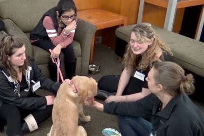 New study suggests dogs can help failing university students