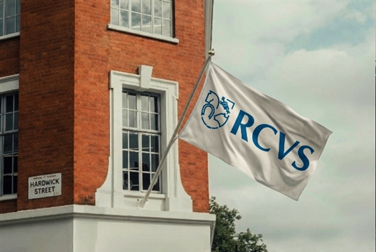 New primary care vet specialty training proposals move to consultation