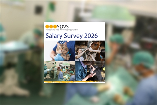 Vets invited to take part in SPVS 2026 salary survey