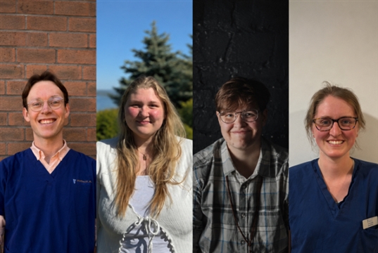 Henry Cloete, Emily Clark, Katie Ennis and Izzy Adams bag BSAVA Clinical Research Abstract Awards