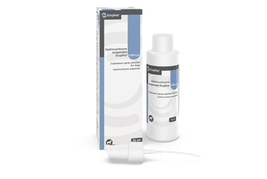 Animalcare launches Hydrocortisone Cutaneous Spray Solution