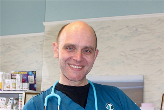 Free webinar on faecal testing for companion animal parasite control