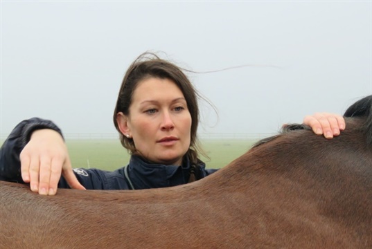 New guide for overworked equine vets