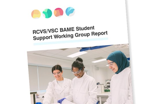 RCVS report recommends making it easier for BAME students to report discrimination at EMS placements