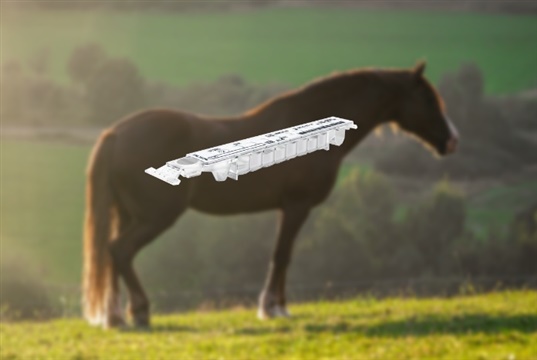 BioMérieux launches the first point of care endocrinology tests for horses