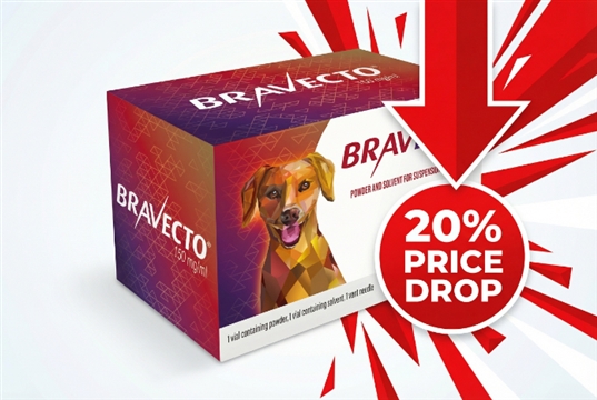 MSD slashes the price of Bravecto Injectable
