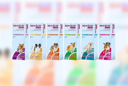 Bravecto Triuno gets UK approval for flea, tick and worm control in dogs