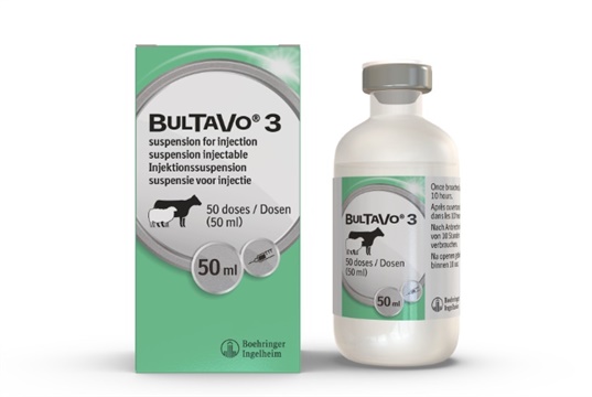 Bultavo 3 vaccine gets UK approval against bluetongue serotype 3 in sheep and cattle