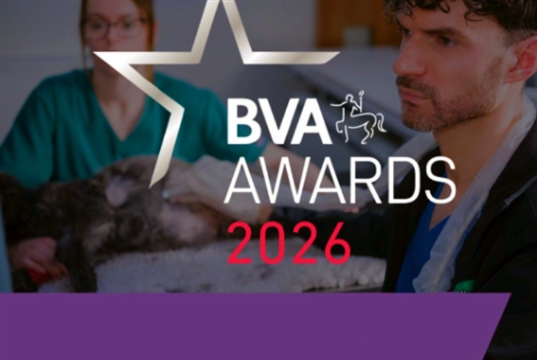 Nominations now open for BVA Awards 2026
