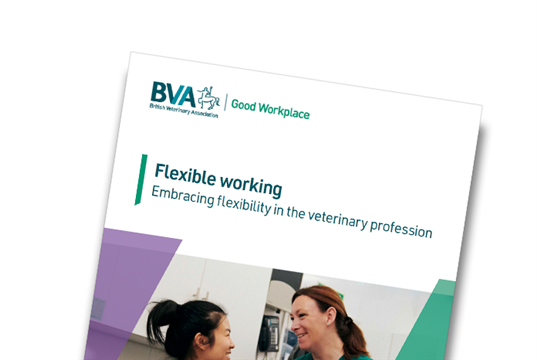 Vets want more flexible work