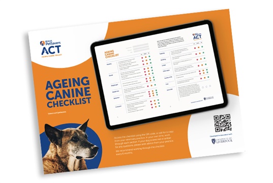 BSAVA PetSavers launches the Ageing Canine Toolkit