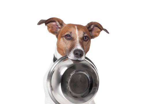 New pet food course for vets