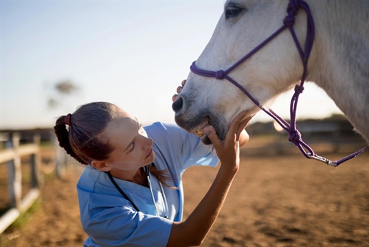 Horiba to host equine biosecurity webinar