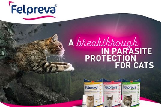 New POM three-monthly parasiticide for cats