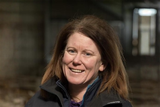 Worming campaign aims to help vets engage with sheep farmers